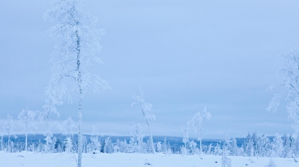 Jäinen luonto